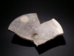 roman tazza